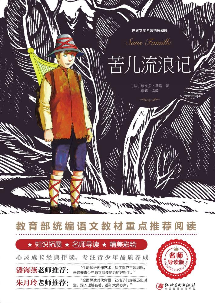 苦儿流浪记 封面