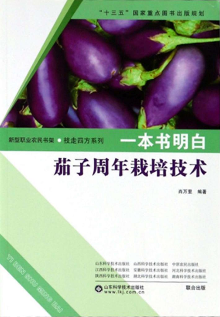 一本书明白茄子周年栽培技术 封面
