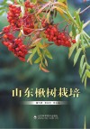 山东楸树栽培 封面