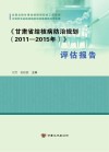 《甘肃省结核病防治规划(2011-2015年)》评估报告 封面