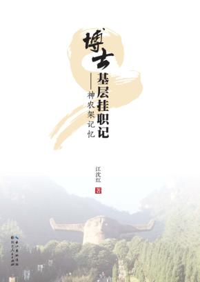 博士基层挂职记 封面