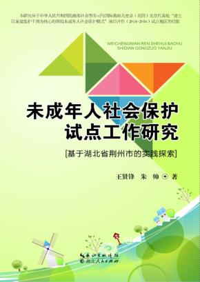 未成年人社会保护试点工作研究 封面