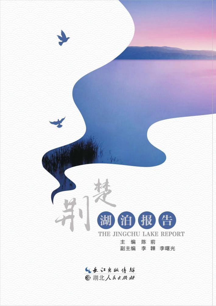 荆楚湖泊报告 封面