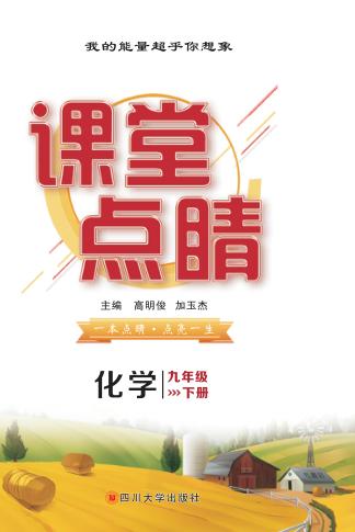 课堂点睛  化学  九年级  下 封面