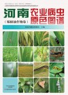 河南农业病虫原色图谱  粮棉油作物卷 封面