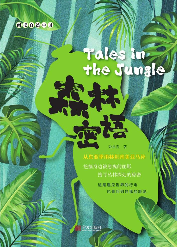 森林密语 封面