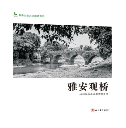 雅安观桥 封面