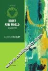 美丽新世界 封面