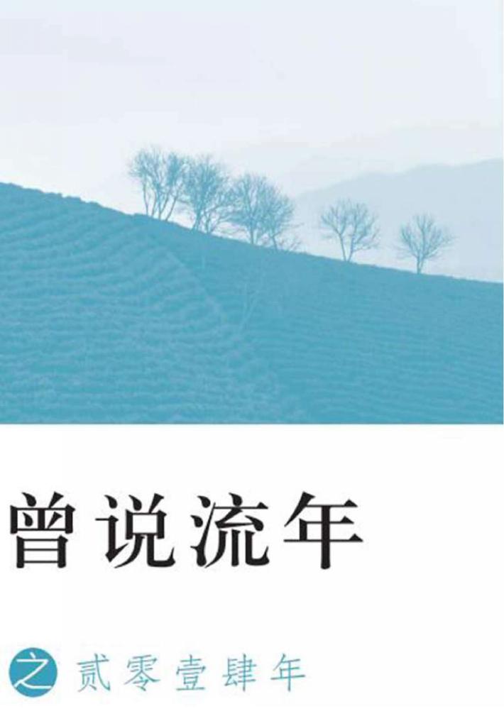 曾说流年之贰零壹肆年 封面