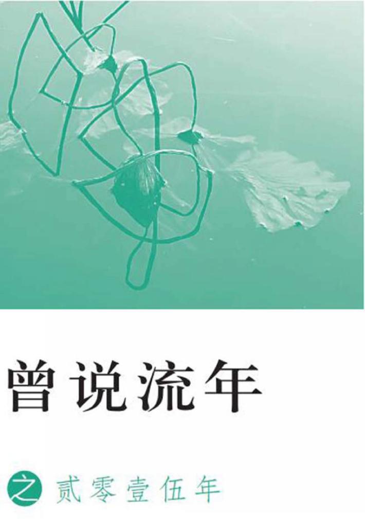 曾说流年之贰零壹伍年 封面