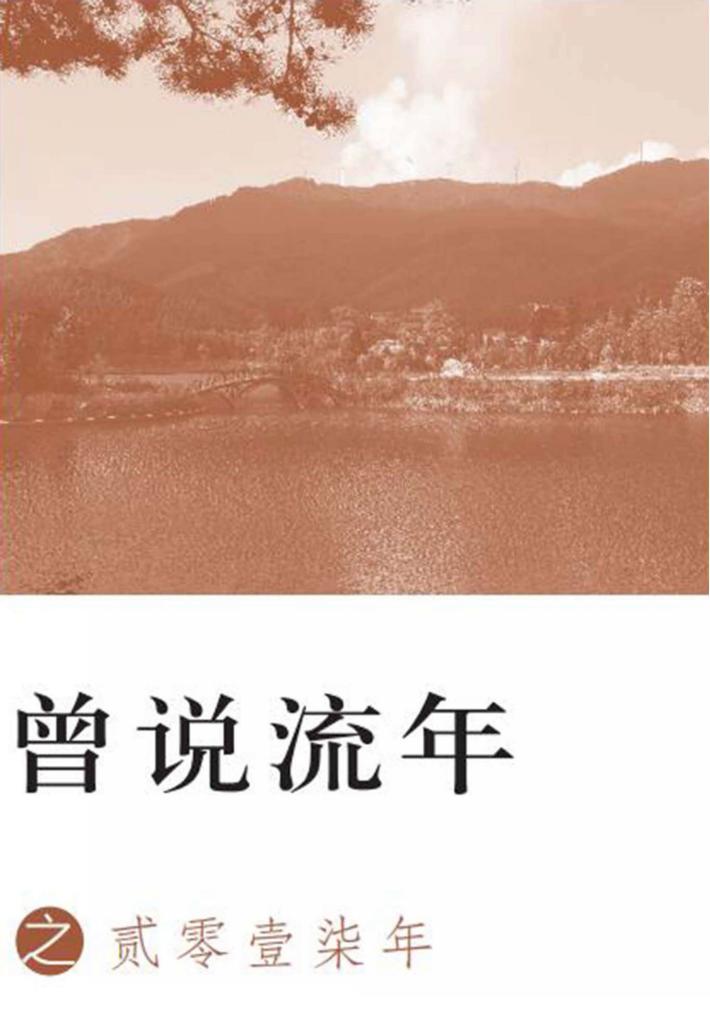 曾说流年之贰零壹柒年 封面