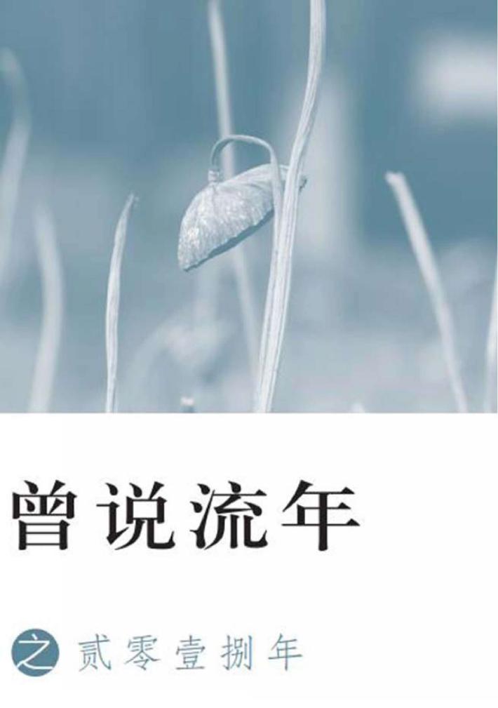 曾说流年之贰零壹捌年 封面