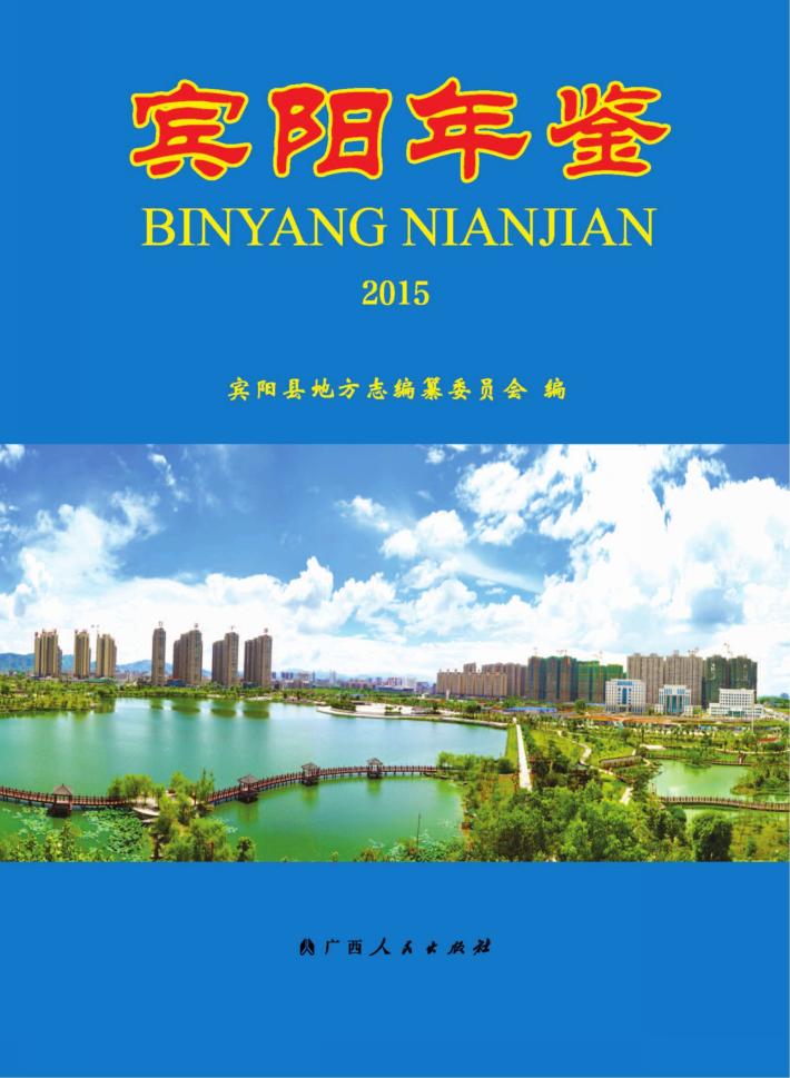 宾阳年鉴 封面