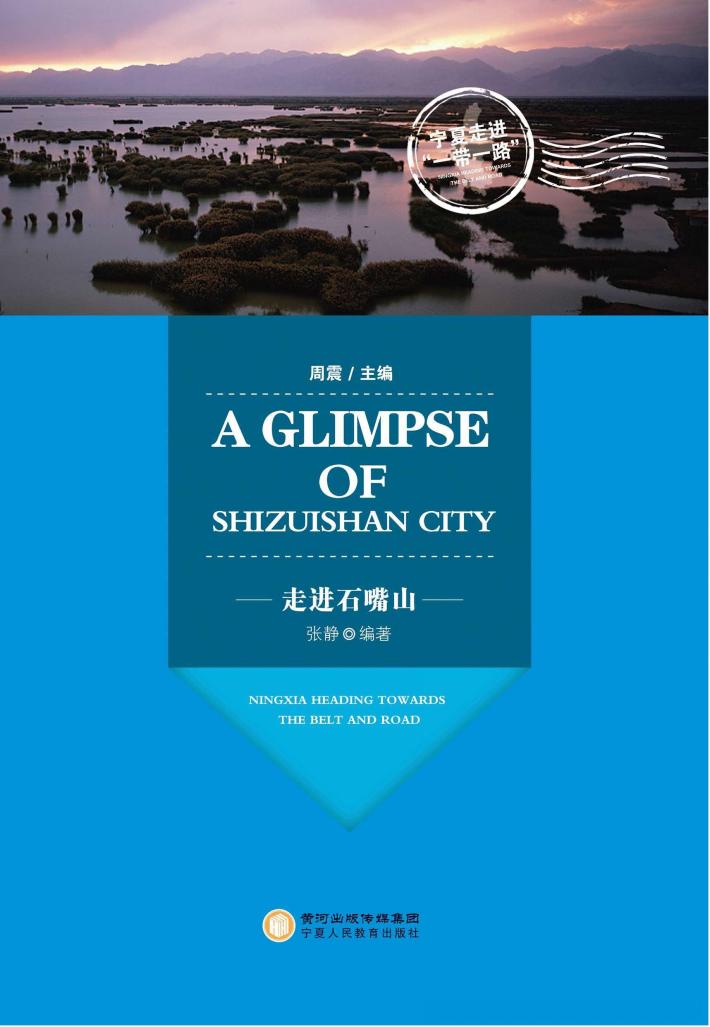 走进石嘴山 封面