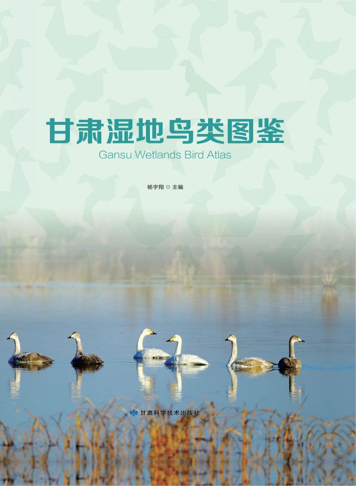 甘肃湿地鸟类图鉴 封面