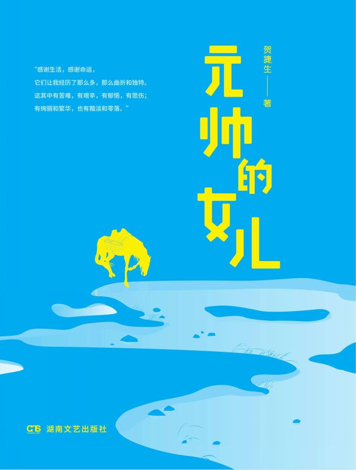 元帅的女儿 封面