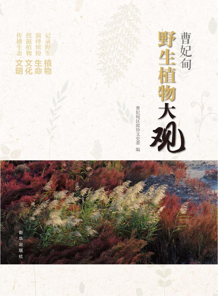 曹妃甸野生植物大观 封面