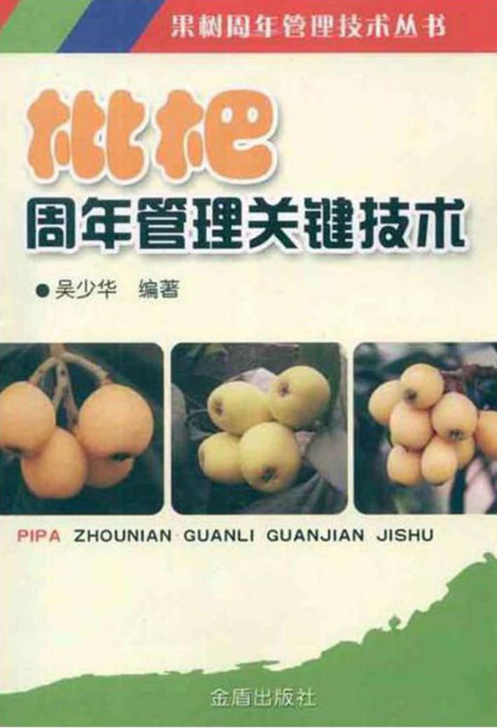 枇杷周年管理关键技术 封面