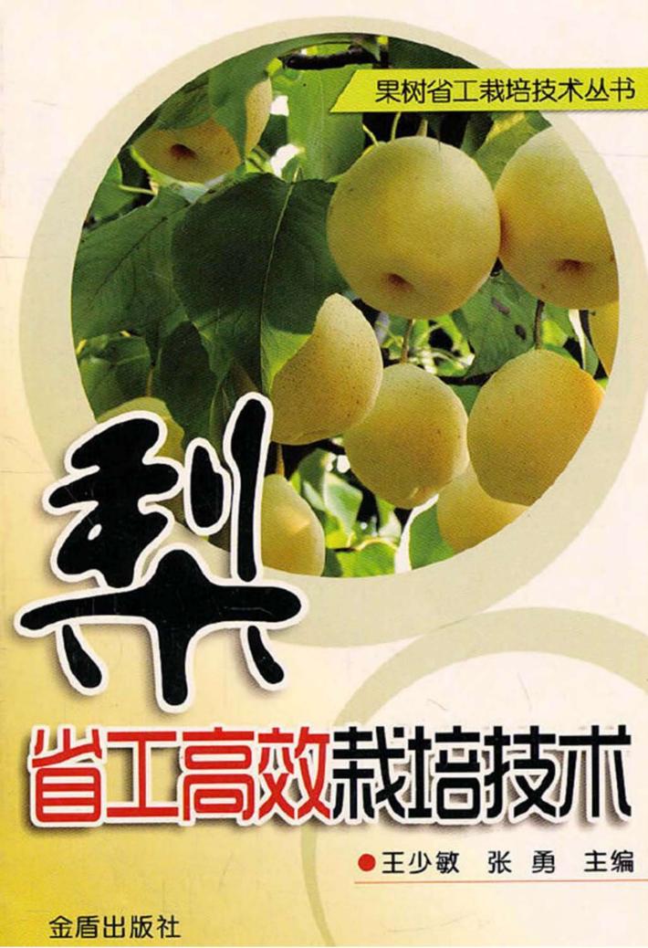 梨省工高效栽培技术 封面