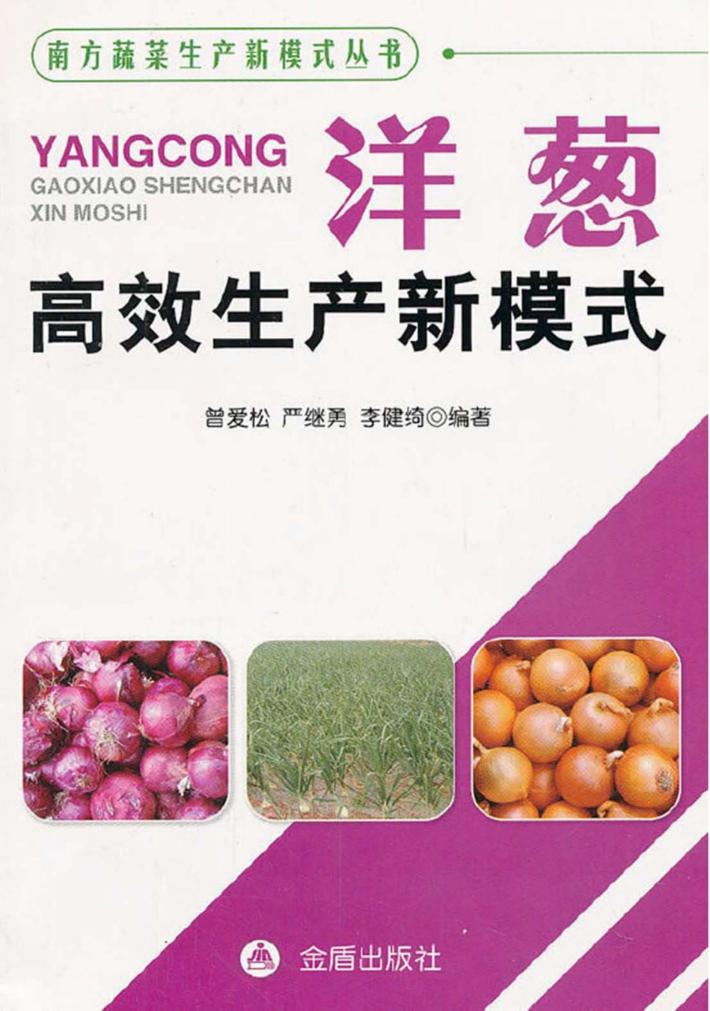 洋葱高效生产新模式 封面