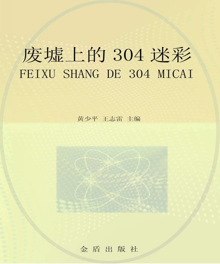 废墟上的304迷彩 封面