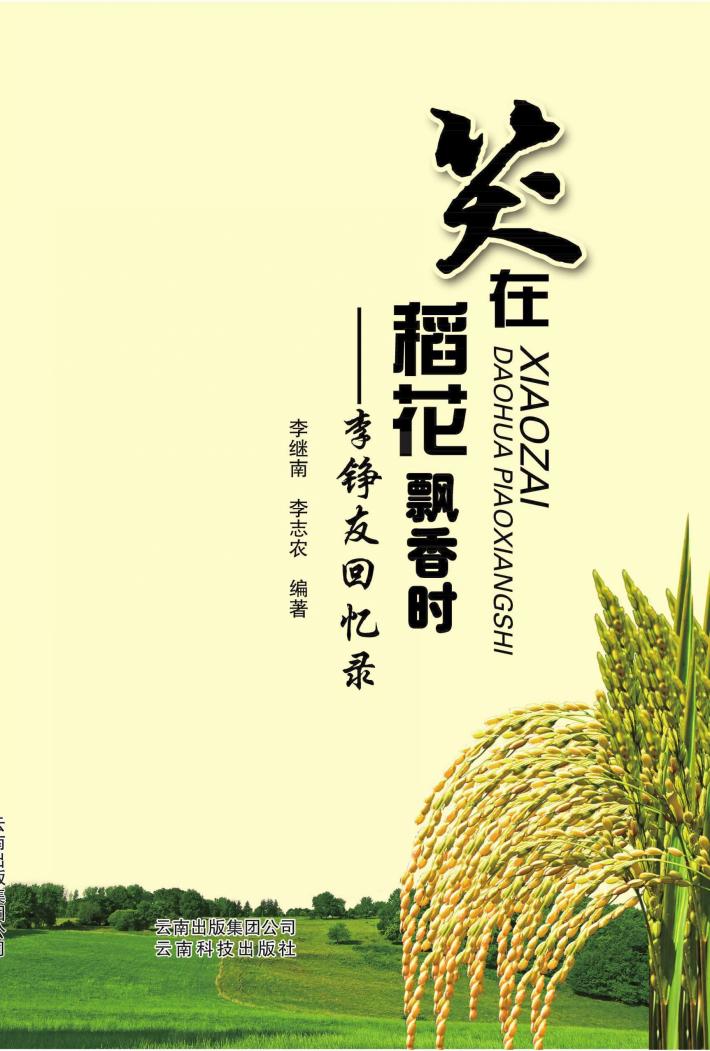 笑在稻花飘香时 封面