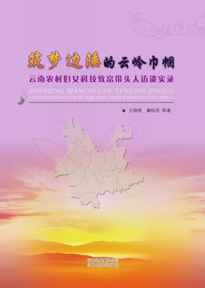 筑梦边陲的云岭巾帼 封面