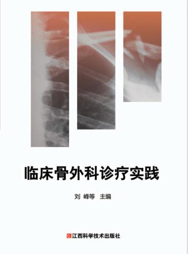 临床骨外科诊疗实践 封面