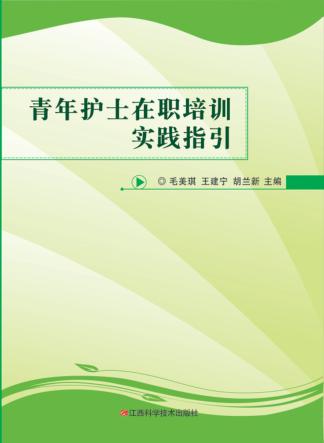 青年护士在职培训实践指引 封面