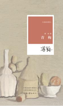 小说家的散文  青梅 封面