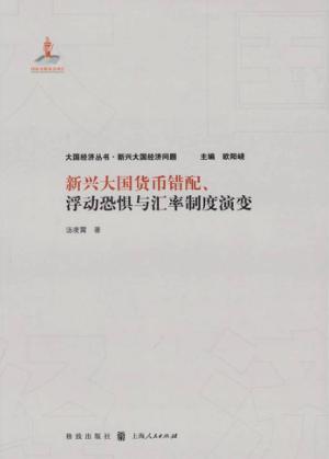 新兴大国货币错配、浮动恐惧与汇率制度演变 封面