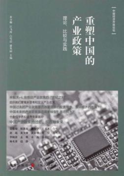 中国经济开放论坛  重塑中国的产业政策  理论比较与实践 封面