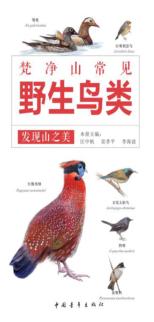 发现山之美 封面