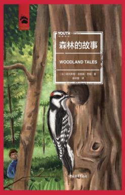 森林的故事 封面