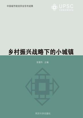 乡村振兴战略下的小城镇 封面