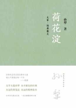 荷花淀  大家·经典散文 封面