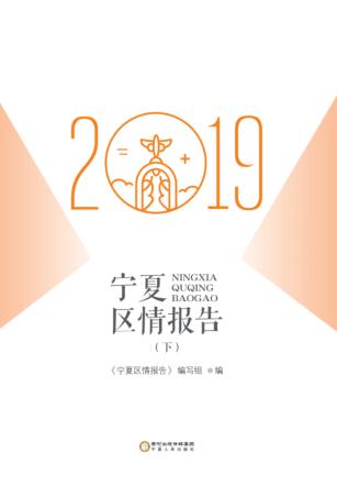 宁夏区情报告  2019  下