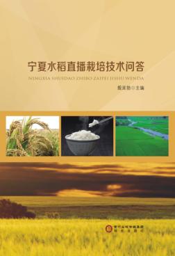宁夏水稻直播栽培技术问答