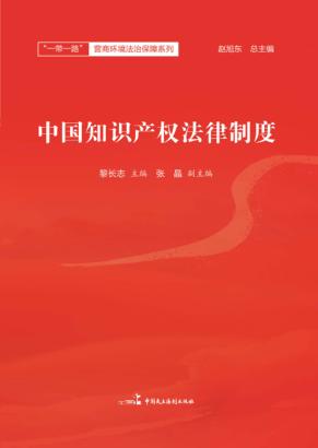 中国知识产权制度 封面