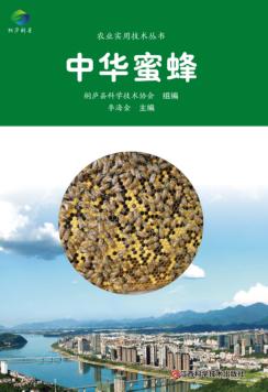 中华蜜蜂 封面