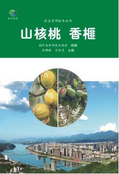 山核桃 香榧 封面