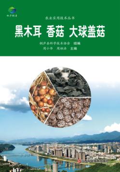 黑木耳 香菇 大球盖菇 封面