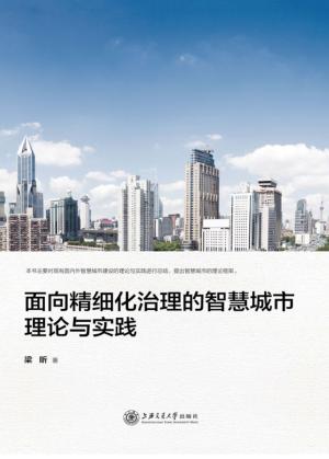 面向精细化治理的智慧城市理论与实践 封面