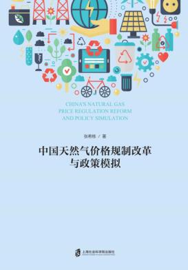 中国天然气价格规制改革与政策模拟 封面