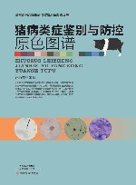 猪病类症鉴别与防控原色图谱 封面