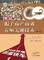 图说蝎子高产高效养殖关键技术 封面