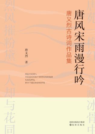 唐风宋雨漫行吟 封面