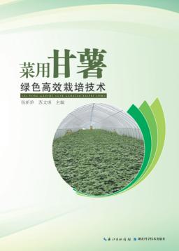 菜用甘薯绿色高效栽培技术 封面