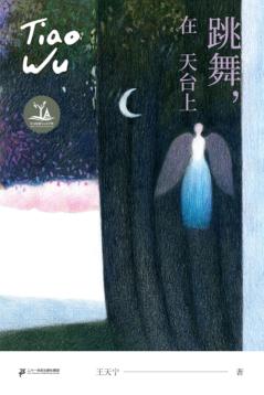 中文原创YA文学奖  跳舞在天台上 封面