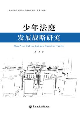 少年法庭发展战略研究 封面